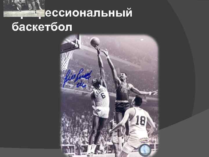 Профессиональный баскетбол 