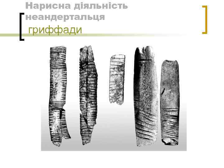 Нарисна діяльність неандертальця гриффади 