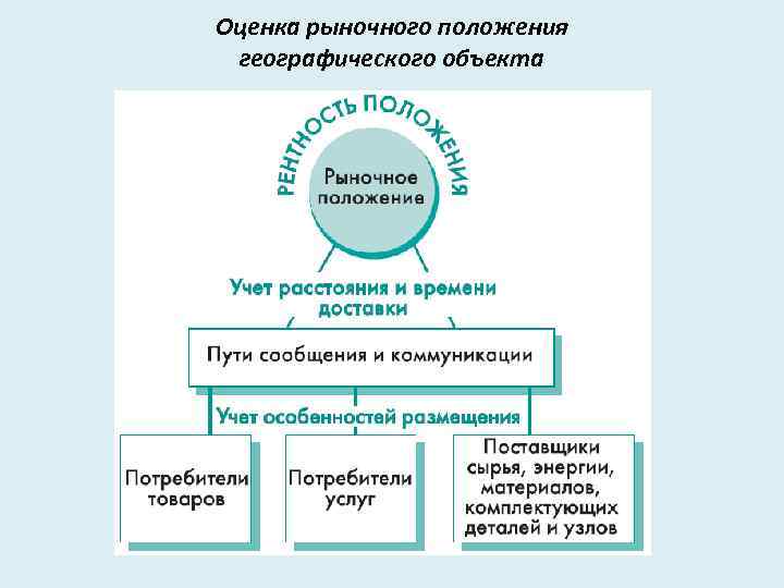 Оценка рыночного положения географического объекта 
