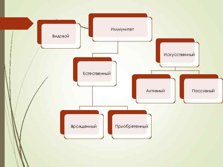 Иммунитет Видовой Искусственный Естественный Активный Врожденный Приобретенный Пассивный 