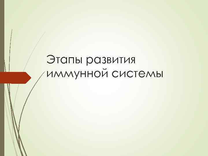 Этапы развития иммунной системы 