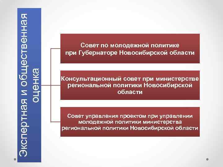 Экспертная и общественная оценка Совет по молодежной политике при Губернаторе Новосибирской области Консультационный совет