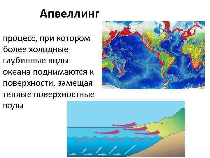 Апвеллинг процесс, при котором более холодные глубинные воды океана поднимаются к поверхности, замещая теплые