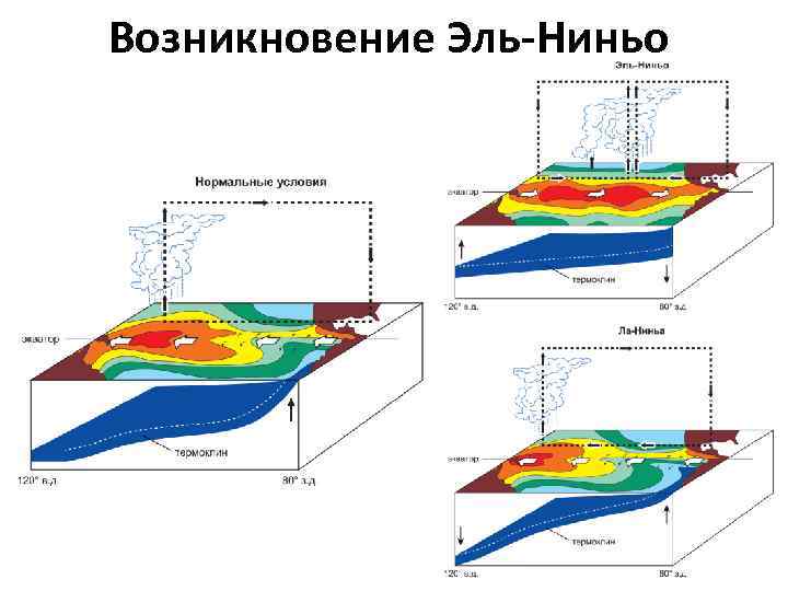 Возникновение Эль-Ниньо 