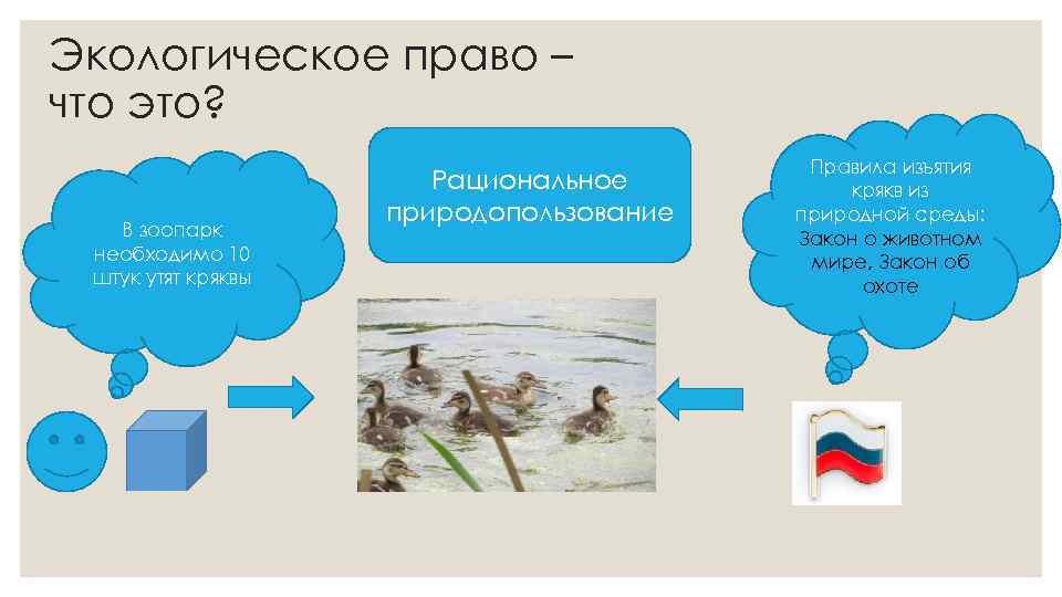 Экологическое право – что это? В зоопарк необходимо 10 штук утят кряквы Рациональное природопользование