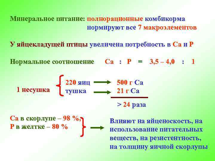 Минеральное питание: полнорационные комбикорма нормируют все 7 макроэлементов У яйцекладущей птицы увеличена потребность в