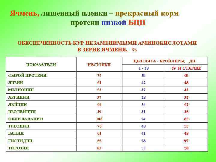 Ячмень, лишенный пленки – прекрасный корм протеин низкой БЦП ОБЕСПЕЧЕННОСТЬ КУР НЕЗАМЕНИМЫМИ АМИНОКИСЛОТАМИ В