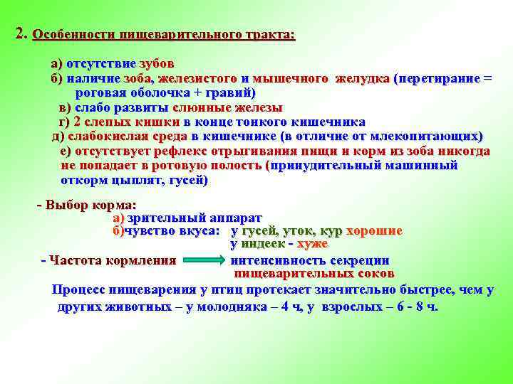 2. Особенности пищеварительного тракта: а) отсутствие зубов б) наличие зоба, железистого и мышечного желудка