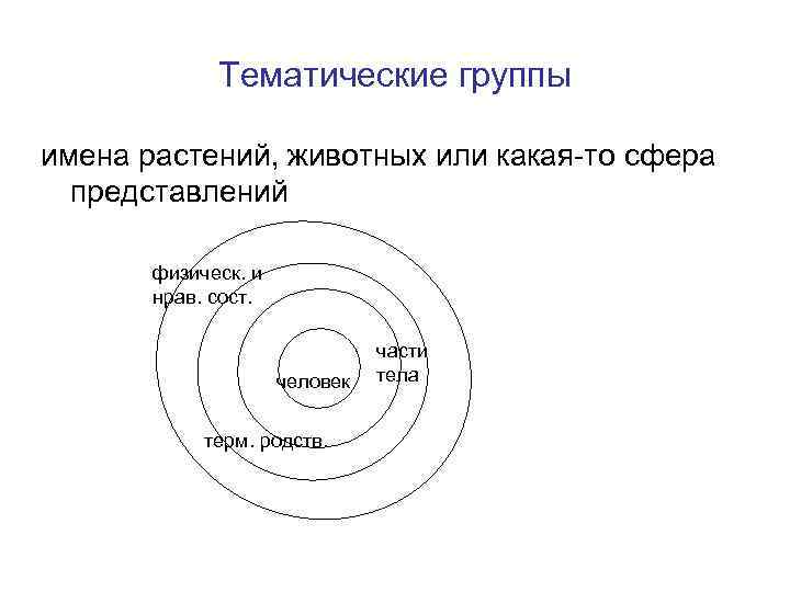 Картинки семантические поля