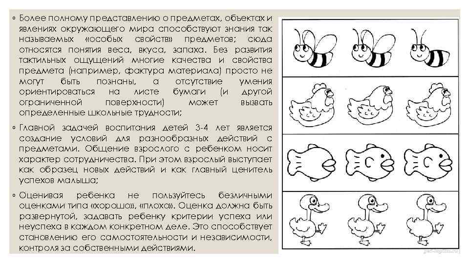 ◦ Более полному представлению о предметах, объектах и явлениях окружающего мира способствуют знания так
