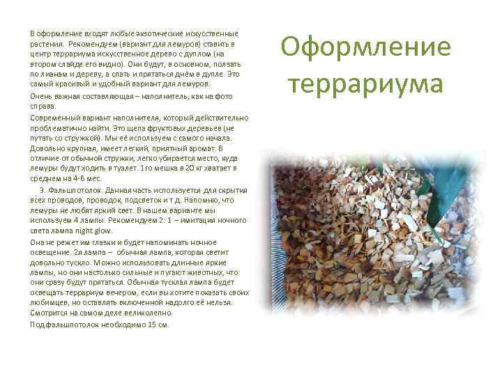 В оформление входят любые экзотические искусственные растения. Рекомендуем (вариант для лемуров) ставить в центр