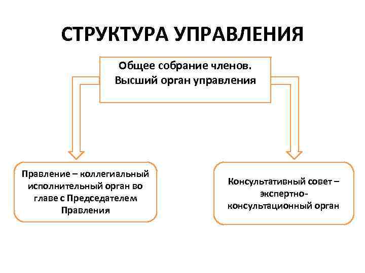 СТРУКТУРА УПРАВЛЕНИЯ Общее собрание членов. Высший орган управления Правление – коллегиальный исполнительный орган во