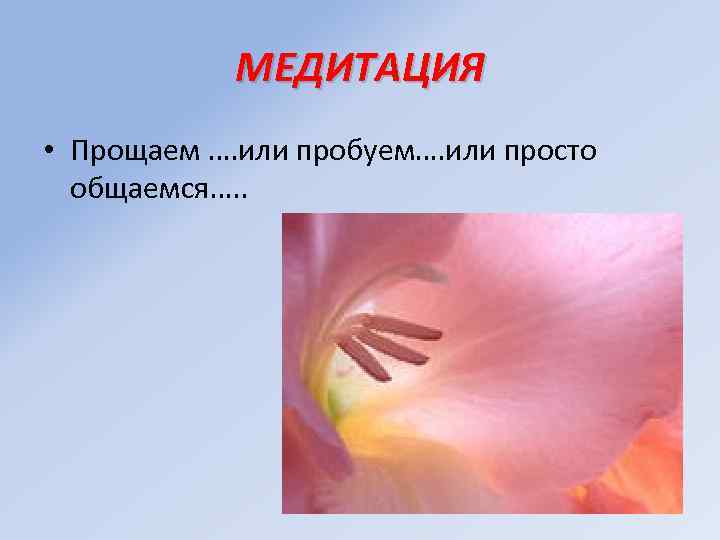 МЕДИТАЦИЯ • Прощаем …. или пробуем…. или просто общаемся…. . 