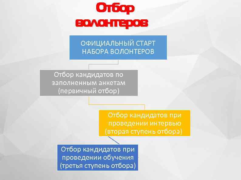 Деятельность по набору обучению отбору волонтеров в рамках реализации волонтерского проекта это