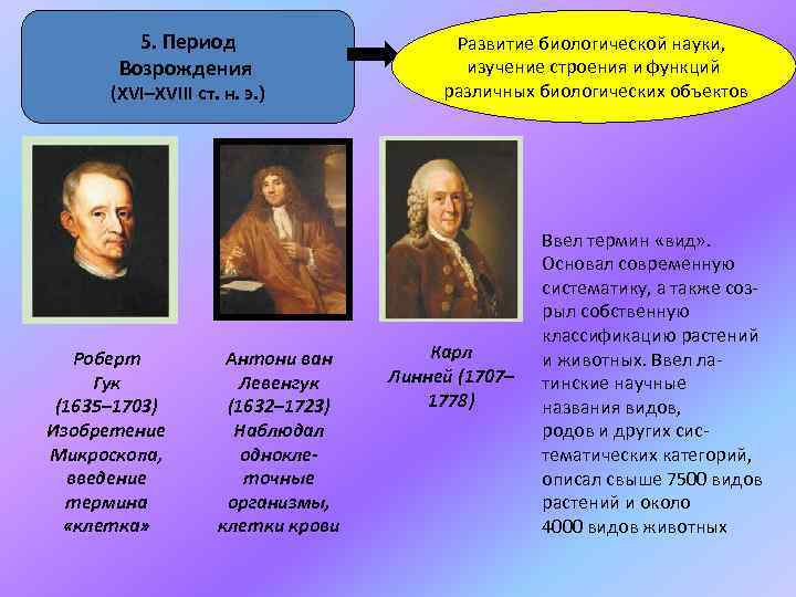 5. Период Возрождения (ХVІ–XVІІІ ст. н. э. ) Роберт Гук (1635– 1703) Изобретение Микроскопа,