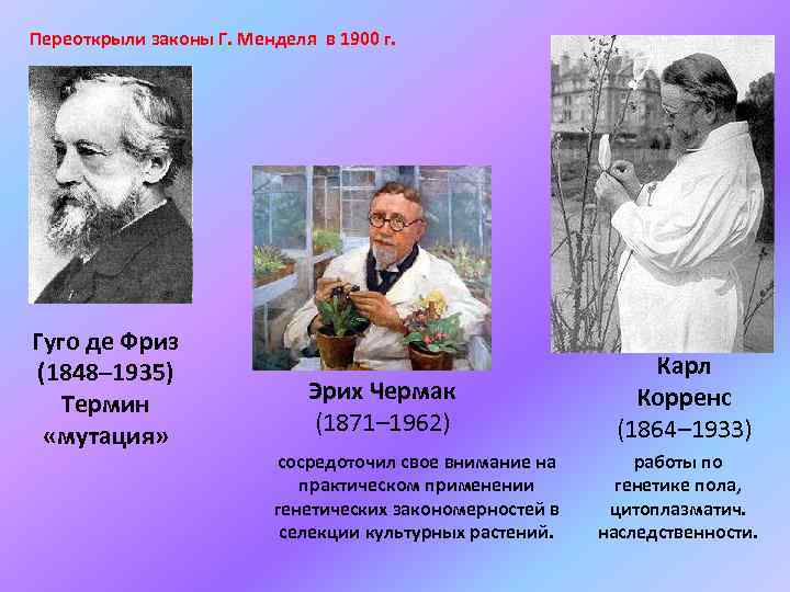 Переоткрыли законы Г. Менделя в 1900 г. Гуго де Фриз (1848– 1935) Термин «мутация»