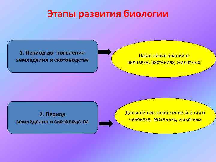 Этапы развития биологии 1. Период до появления земледелия и скотоводства 2. Период земледелия и