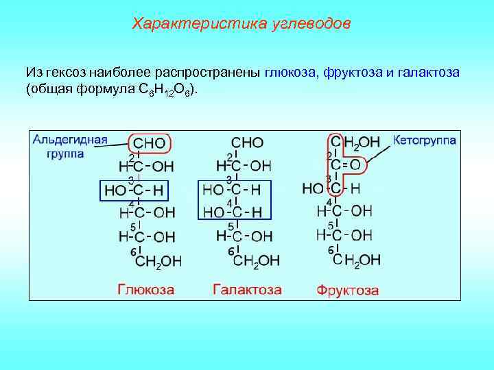 Характеристика углеводов Из гексоз наиболее распространены глюкоза, фруктоза и галактоза (общая формула С 6