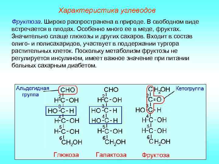 Характеристика углеводов Фруктоза. Широко распространена в природе. В свободном виде встречается в плодах. Особенно