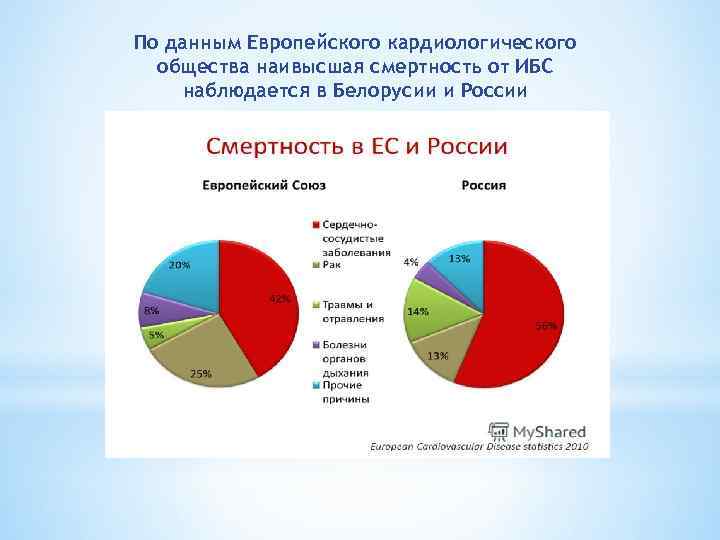 По данным Европейского кардиологического общества наивысшая смертность от ИБС наблюдается в Белорусии и России