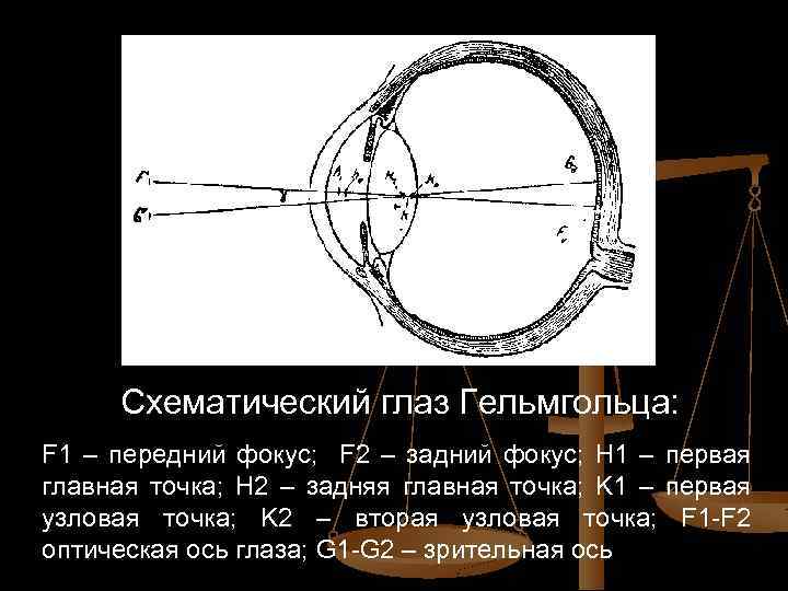 Схематический глаз Гельмгольца: F 1 – передний фокус; F 2 – задний фокус; H