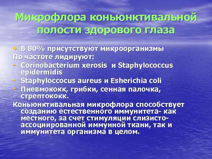 Микрофлора коньюнктивальной полости здорового глаза • В 80% присутствуют микроорганизмы По частоте лидируют: -