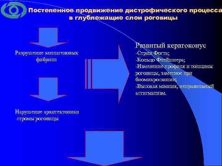 Постепенное продвижение дистрофического процесса в глублежащие слои роговицы Развитый кератоконус Разрушение коллагеновых фибрилл Нарушение