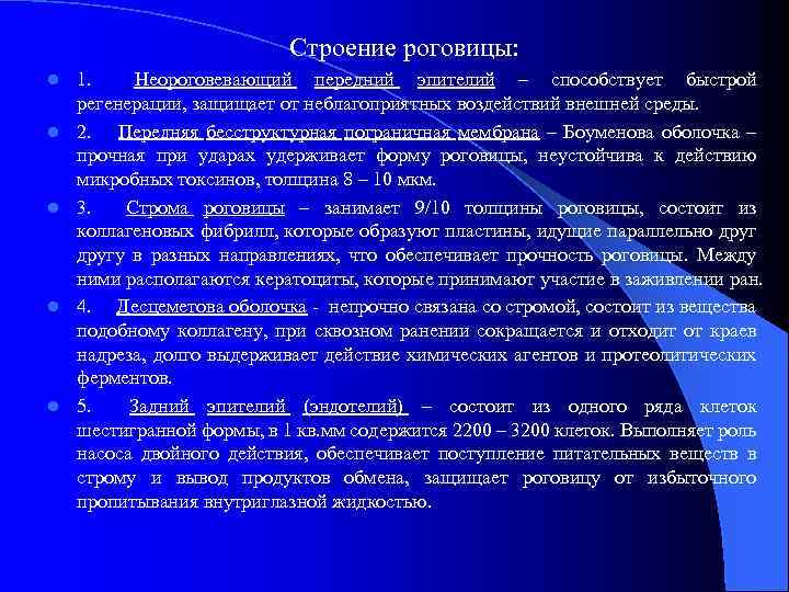 Строение роговицы: l l l 1. Неороговевающий передний эпителий – способствует быстрой регенерации, защищает