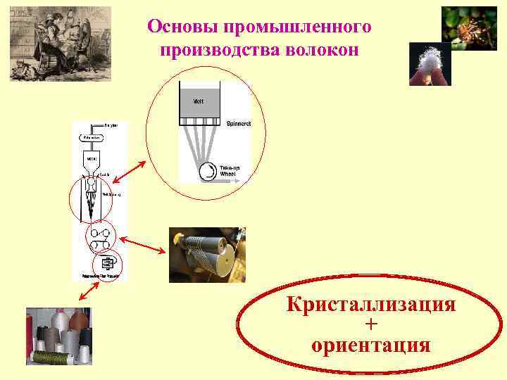 Основы промышленного производства волокон Кристаллизация + ориентация 