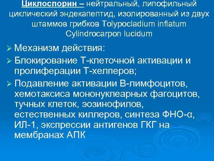 Циклоспорин – нейтральный, липофильный циклический эндекапептид, изолированный из двух штаммов грибков Tolypocladium inflatum Cylindrocarpon