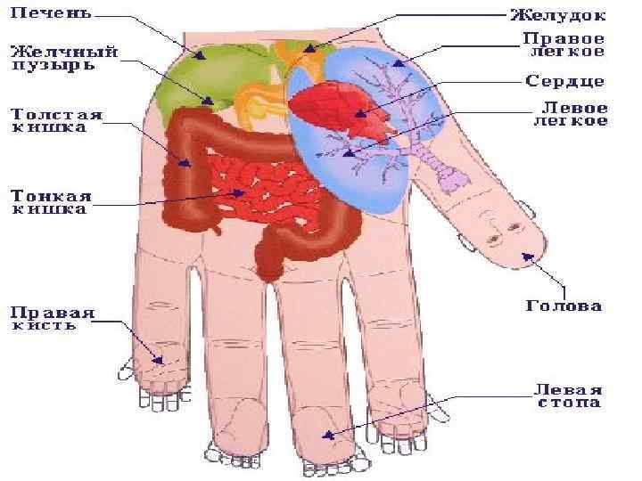 Болезни по ладоням рук определение в картинках