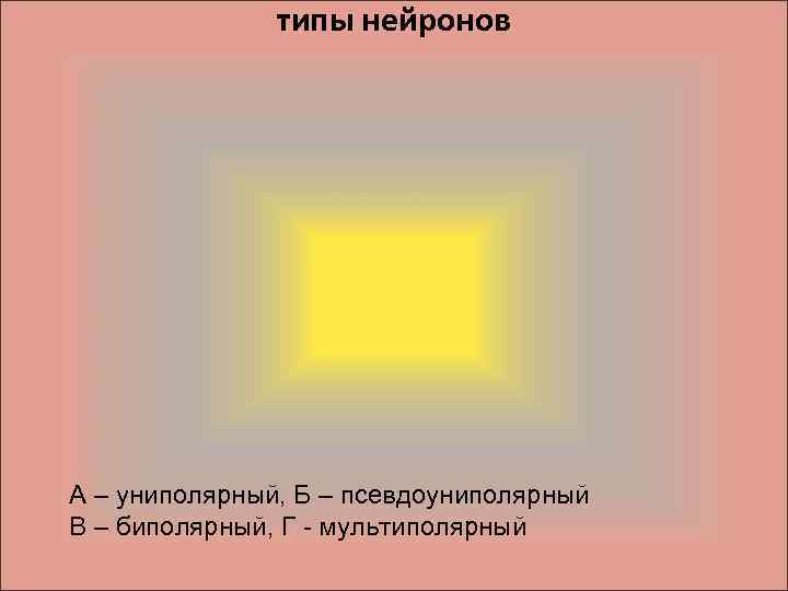 типы нейронов А – униполярный, Б – псевдоуниполярный В – биполярный, Г - мультиполярный