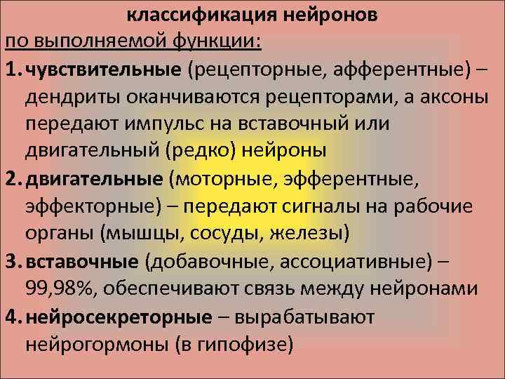 классификация нейронов по выполняемой функции: 1. чувствительные (рецепторные, афферентные) – дендриты оканчиваются рецепторами, а