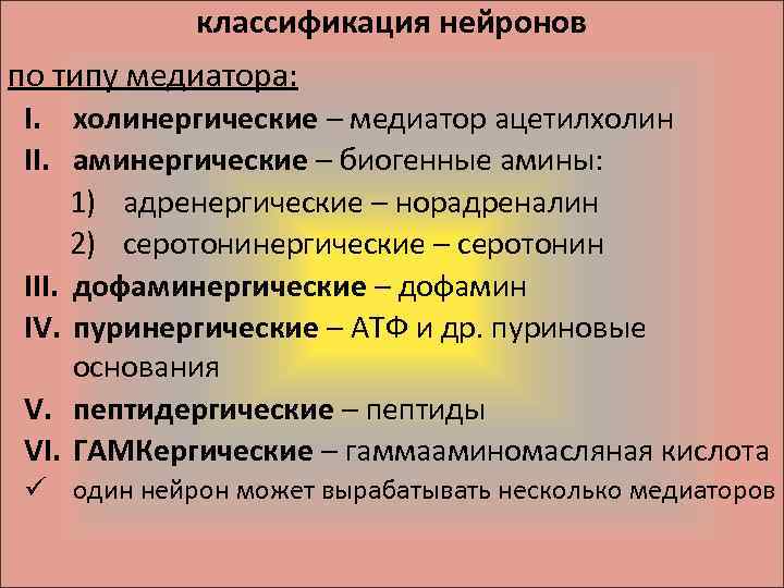 классификация нейронов по типу медиатора: I. холинергические – медиатор ацетилхолин II. аминергические – биогенные