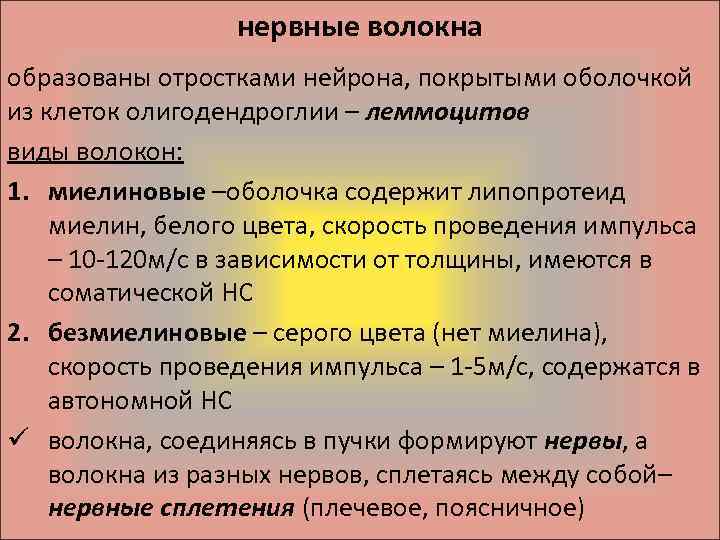 нервные волокна образованы отростками нейрона, покрытыми оболочкой из клеток олигодендроглии – леммоцитов виды волокон: