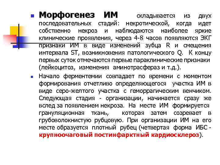 n n Морфогенез ИМ складывается из двух последовательных стадий: некротической, когда идет собственно некроз