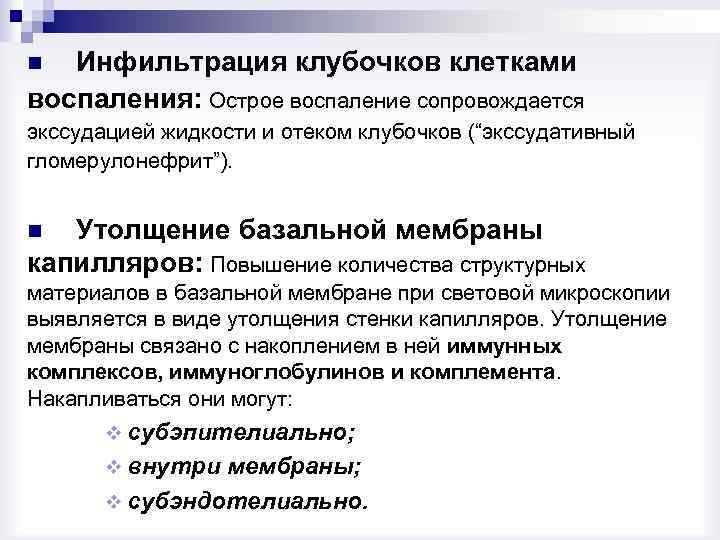 Инфильтрация клубочков клетками воспаления: Острое воспаление сопровождается n экссудацией жидкости и отеком клубочков (“экссудативный