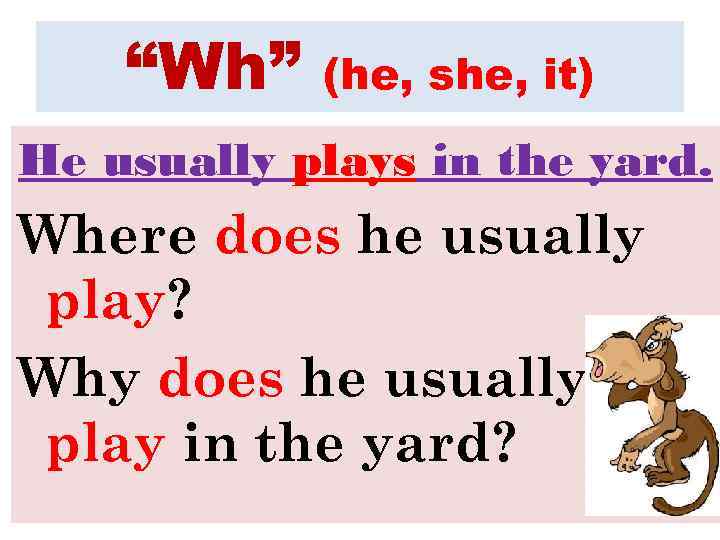 “Wh” (he, she, it) He usually plays in the yard. Where does he usually