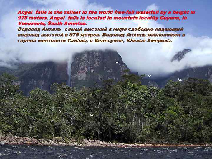 Angel falls is the tallest in the world free-fall waterfall by a height in