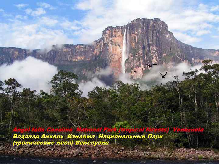 Angel falls Canaima National Park (tropical forests) Venezuela Водопад Анхель Канайма Национальный Парк (тропические