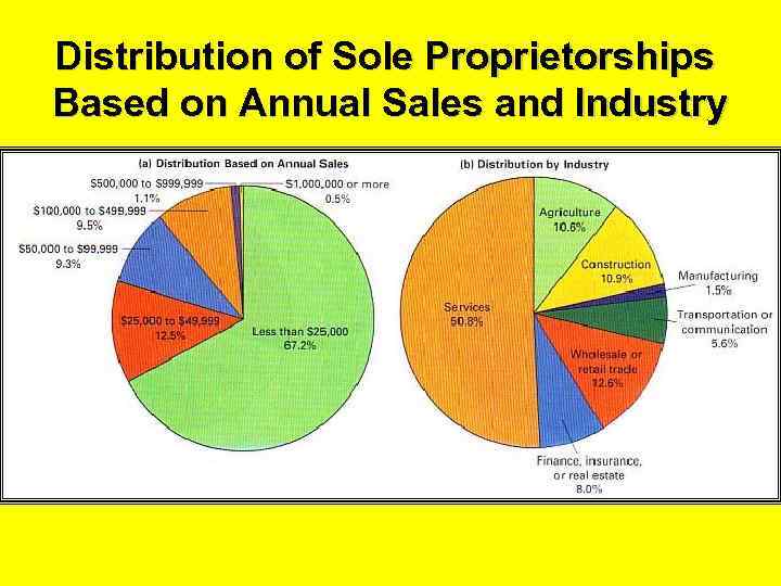 Distribution of Sole Proprietorships Based on Annual Sales and Industry 