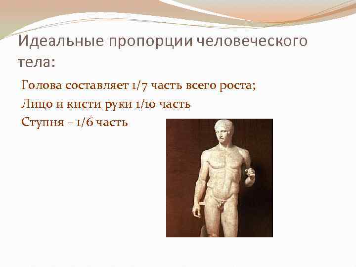 Идеальные пропорции человеческого тела: Голова составляет 1/7 часть всего роста; Лицо и кисти руки