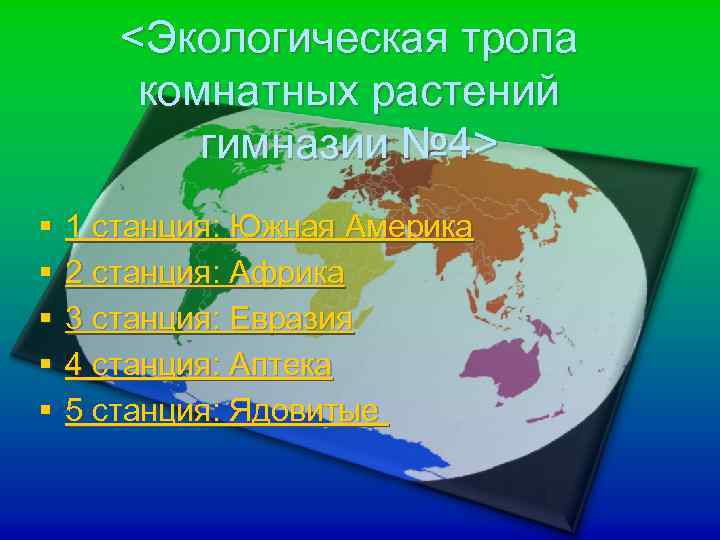 <Экологическая тропа комнатных растений гимназии № 4> § § § 1 станция: Южная Америка