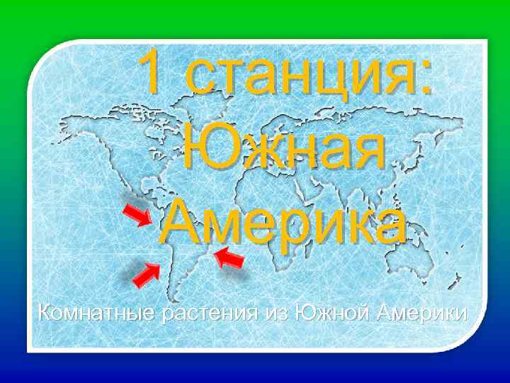 1 станция: Южная Америка Комнатные растения из Южной Америки 