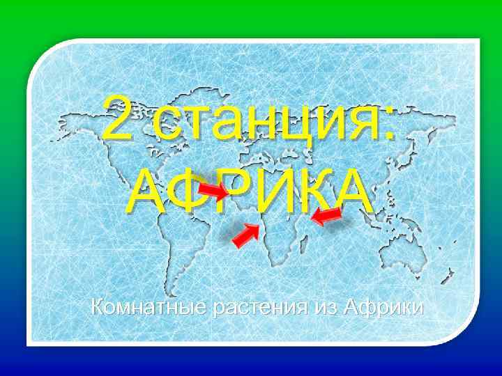 2 станция: АФРИКА Комнатные растения из Африки 