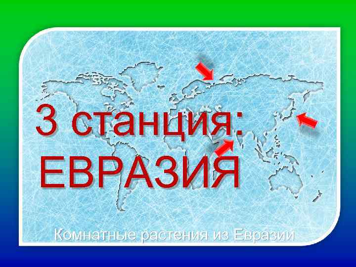 3 станция: ЕВРАЗИЯ Комнатные растения из Евразии 