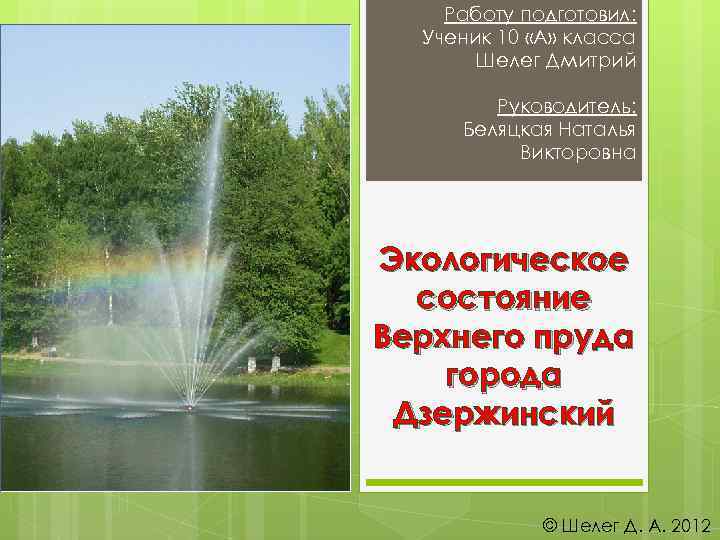 Работу подготовил: Ученик 10 «А» класса Шелег Дмитрий Руководитель: Беляцкая Наталья Викторовна Экологическое состояние