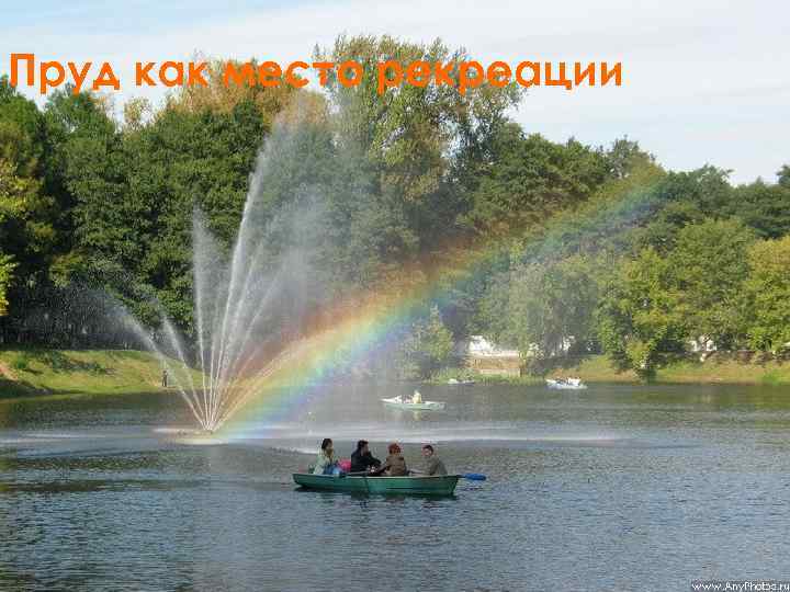 Пруд как место рекреации 