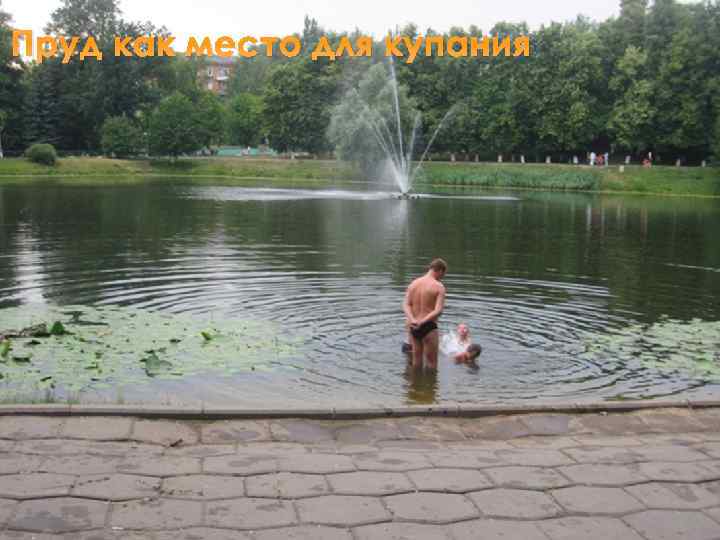 Пруд как место для купания 