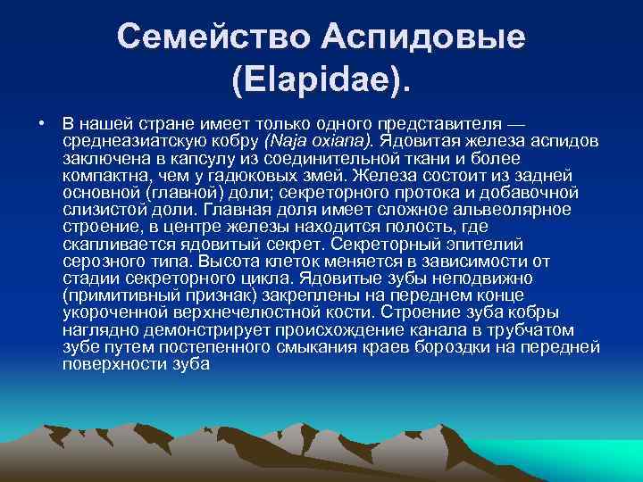 Семейство Аспидовые (Elapidae). • В нашей стране имеет только одного представителя — среднеазиатскую кобру